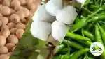 कापूस, सोयाबीन, मिरची वरती सल्ला देतो