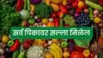 सर्व पिकावर सल्ला मिळेल 