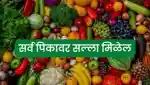 सर्व पिकावर सल्ला मिळेल 