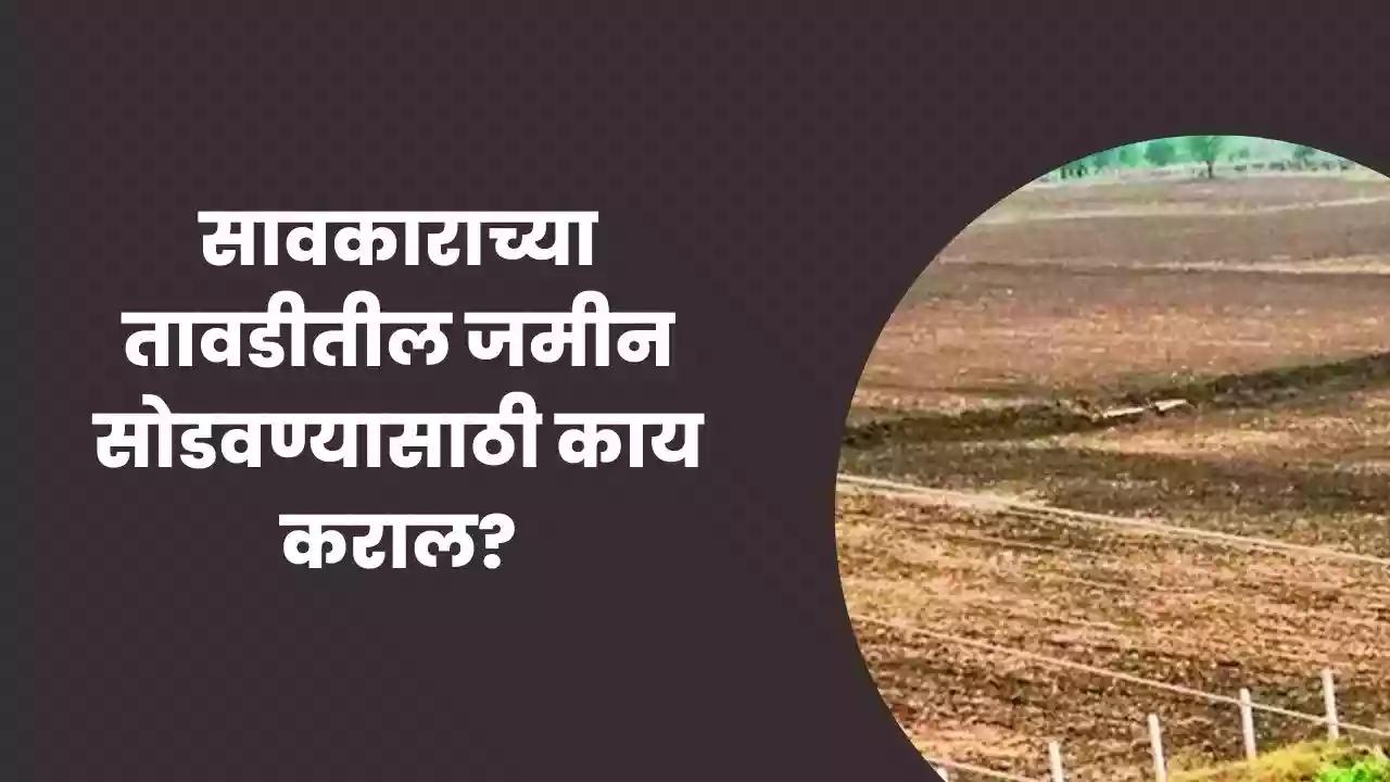Land : सावकाराच्या तावडीतील जमीन सोडवण्यासाठी काय कराल?