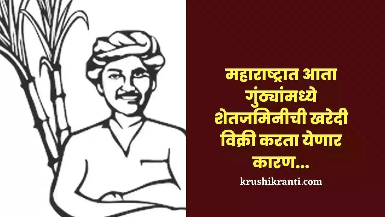 Land purchase and sale : महाराष्ट्रात आता गुंठ्यांमध्ये शेतजमिनीची खरेदी विक्री करता येणार