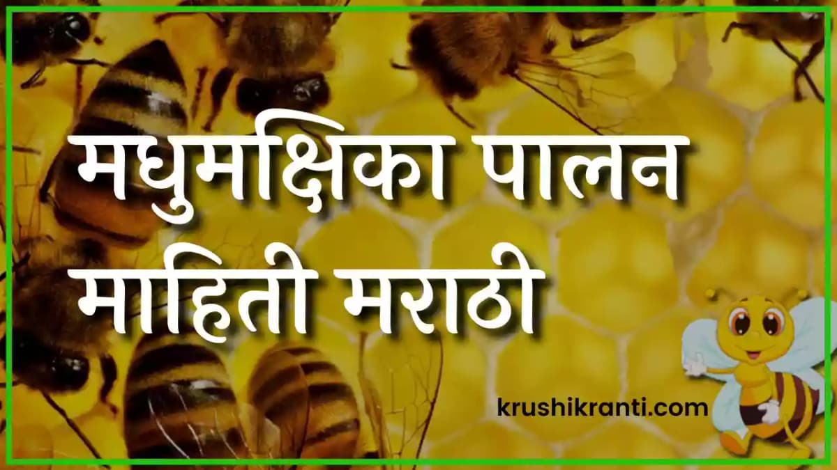What is Beekeeping : मधुमक्षिका पालन माहिती