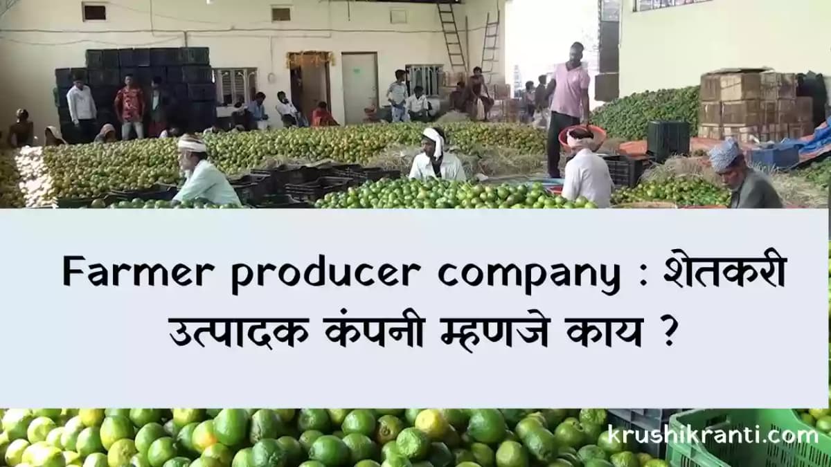 Farmer producer company : शेतकरी उत्पादक कंपनी म्हणजे काय?