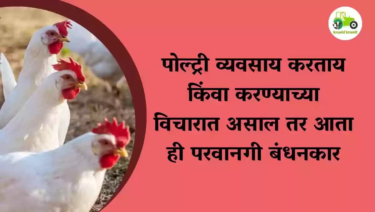 पोल्ट्री व्यवसाय करताय किंवा करण्याच्या विचारात असाल तर आता ही परवानगी बंधनकारक