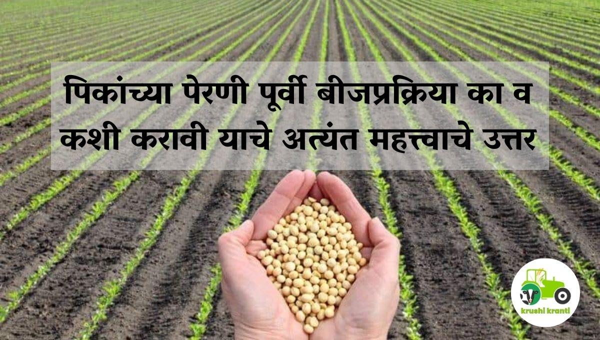 पिकांच्या पेरणी पूर्वी बीजप्रक्रिया का व  कशी करावी याचे अत्यंत महत्त्वाचे उत्तर
