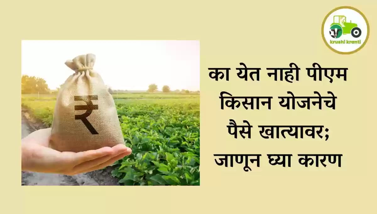 का येत नाही पीएम किसान योजनेचे पैसे खात्यावर; जाणून घ्या कारण