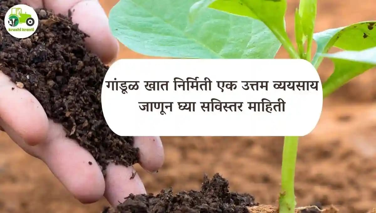 गांडूळ खत निर्मिती एक उत्तम व्ययसाय