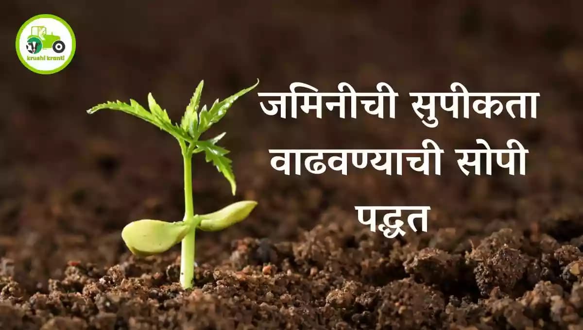 जमिनीची सुपीकता वाढवण्याची सोपी पद्धत 