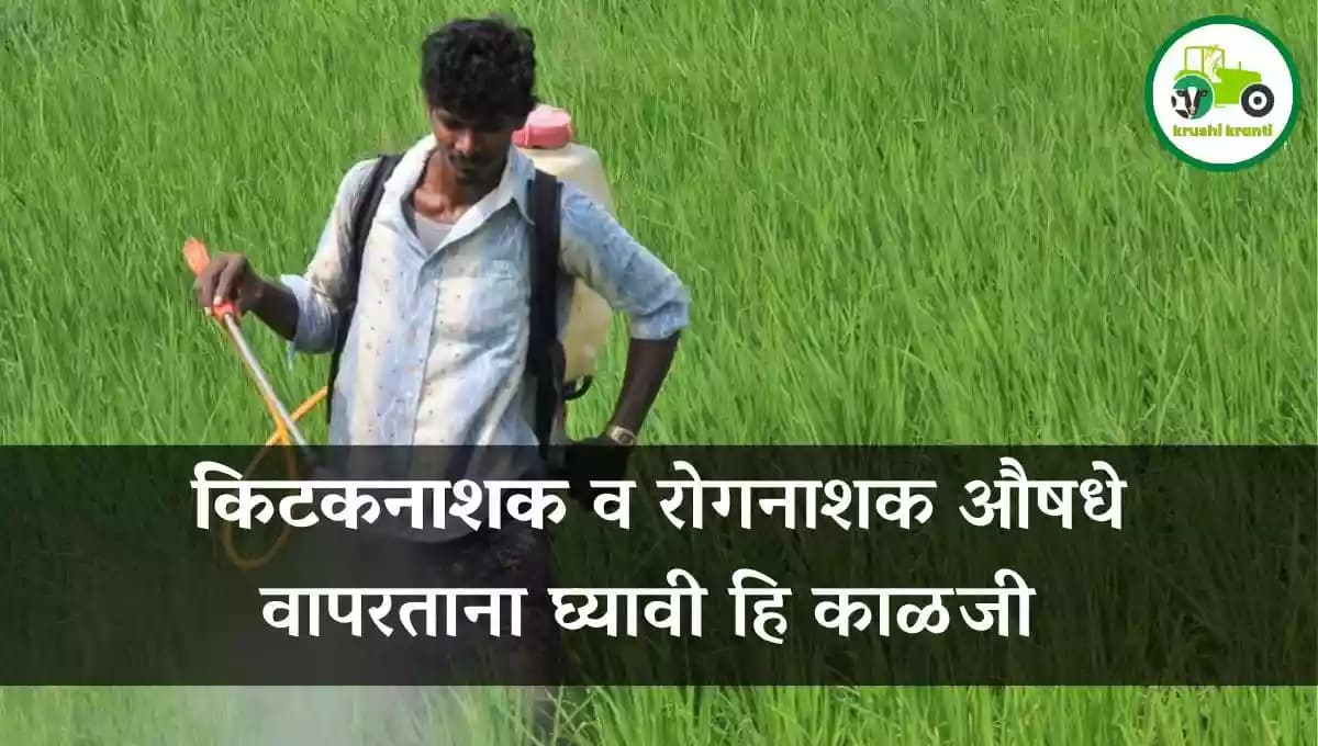 किटकनाशक व रोगनाशक औषधे वापरताना घ्यावी हि काळजी 