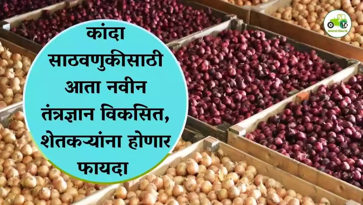 कांदा साठवणुकीसाठी आता नवीन तंत्रज्ञान विकसित, शेतकऱ्यांना होणार फायदा