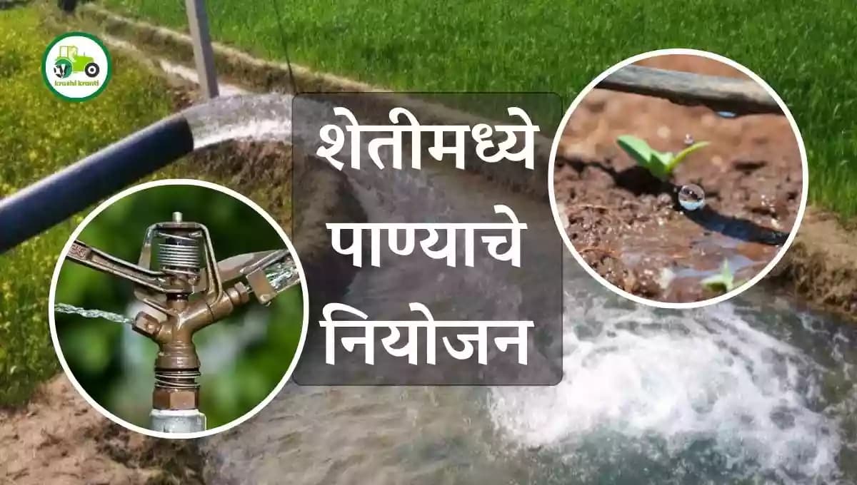 शेतीमध्ये पाण्याचे नियोजन 