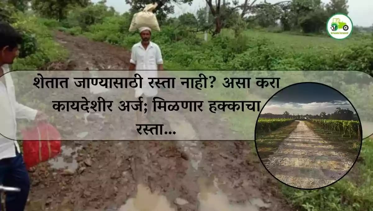 शेतात जाण्यासाठी रस्ता नाही? असा करा कायदेशीर अर्ज ; मिळणार हक्काचा रस्ता…