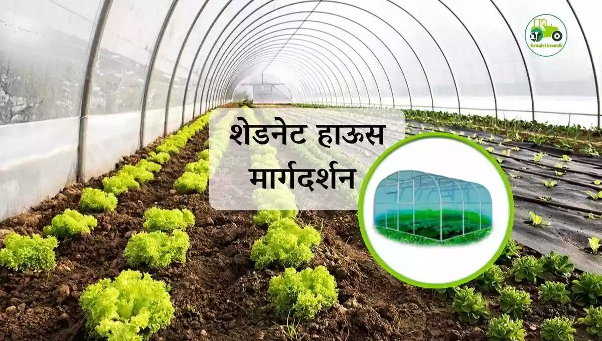 शेडनेट हाऊस - मार्गदर्शन
