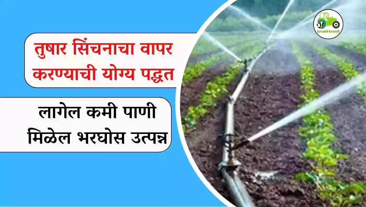 तुषार सिंचनाचा वापर करण्याची योग्य पद्धत लागेल कमी पाणी मिळेल भरघोस उत्पन्न