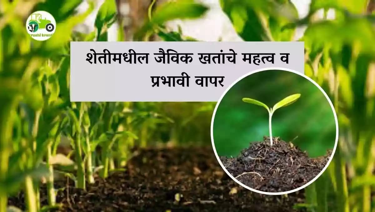 शेतीमधील जैविक खतांचे महत्व व प्रभावी वापर