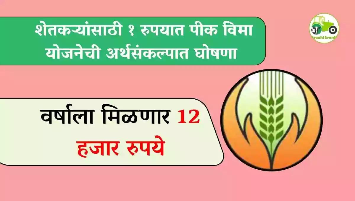 शेतकऱ्यांसाठी १ रुपयात पीक विमा योजनेची अर्थसंकल्पात घोषणा, वर्षाला मिळणार 12 हजार रुपये