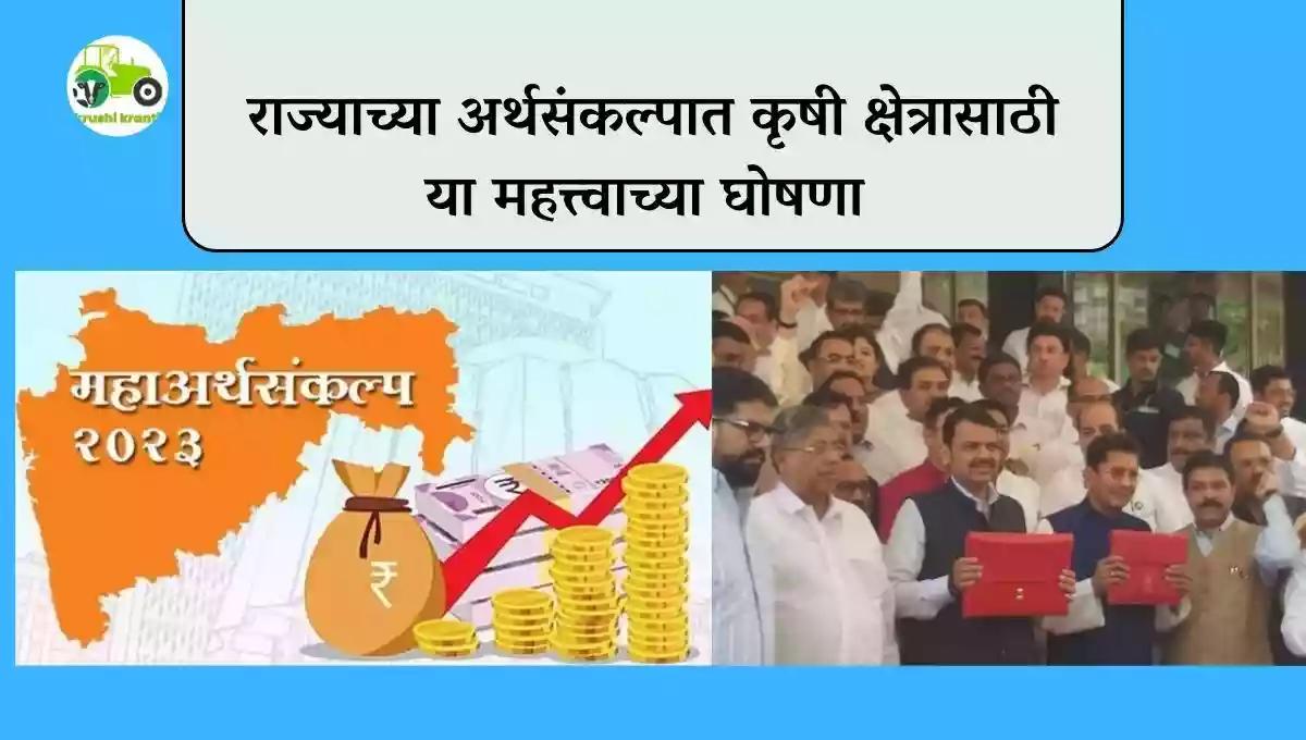 राज्याच्या अर्थसंकल्पात कृषी क्षेत्रासाठी या महत्त्वाच्या घोषणा 