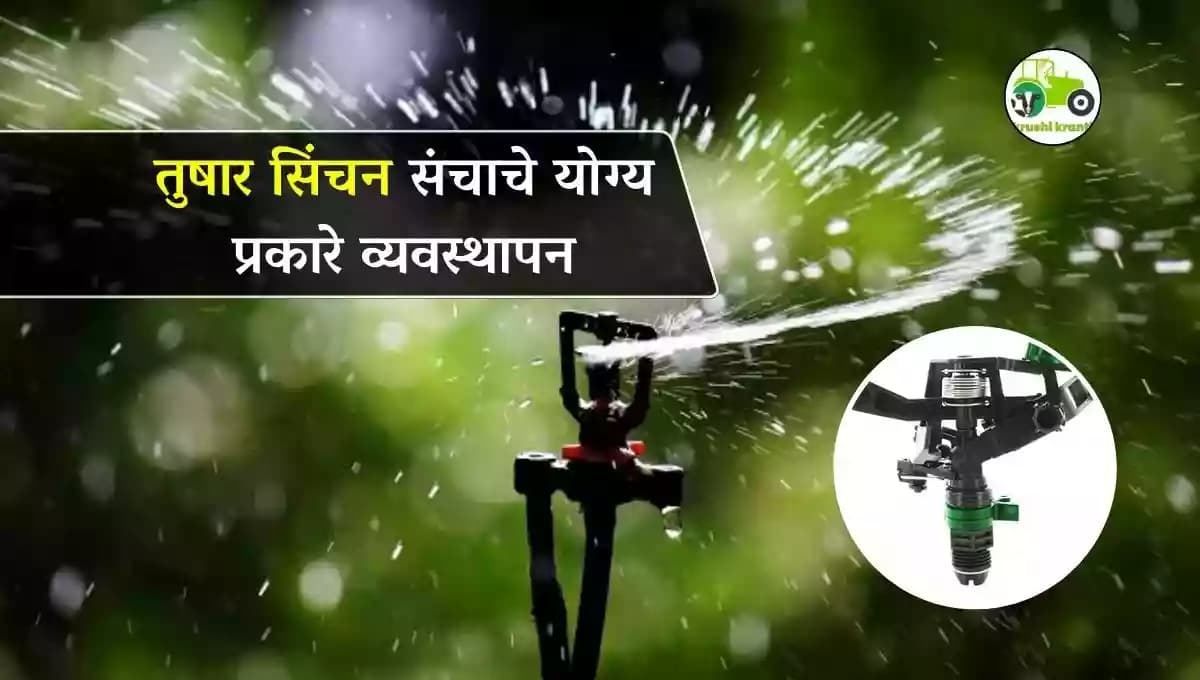 तुषारसिंचन संचाचे योग्य प्रकारे व्यवस्थापन