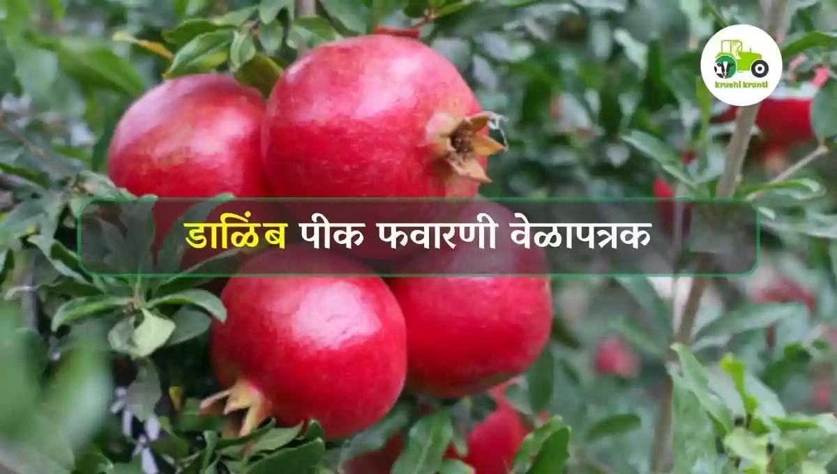 डाळिंब पीक फवारणी वेळापत्रक