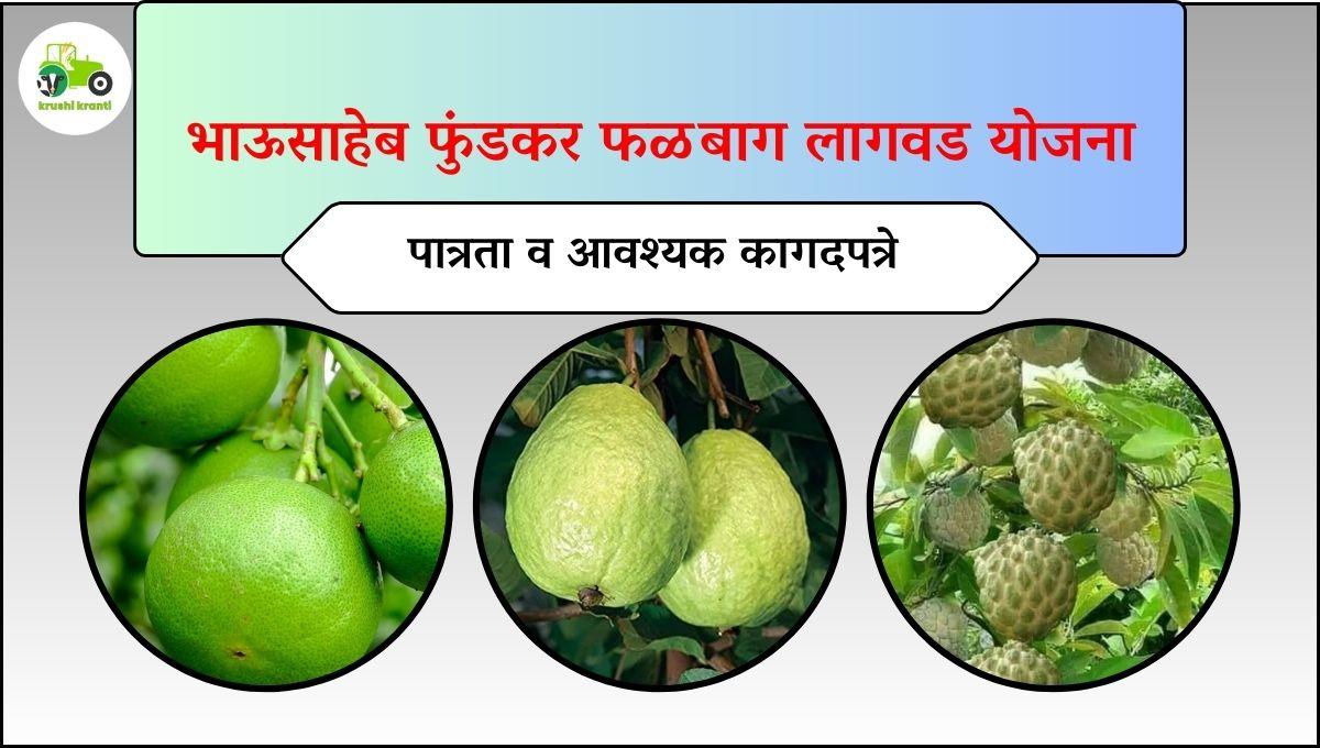 भाऊसाहेब फुंडकर फळबाग लागवड योजना, जाणून घ्या पात्रतेसह आवश्यक कागदपत्रे             