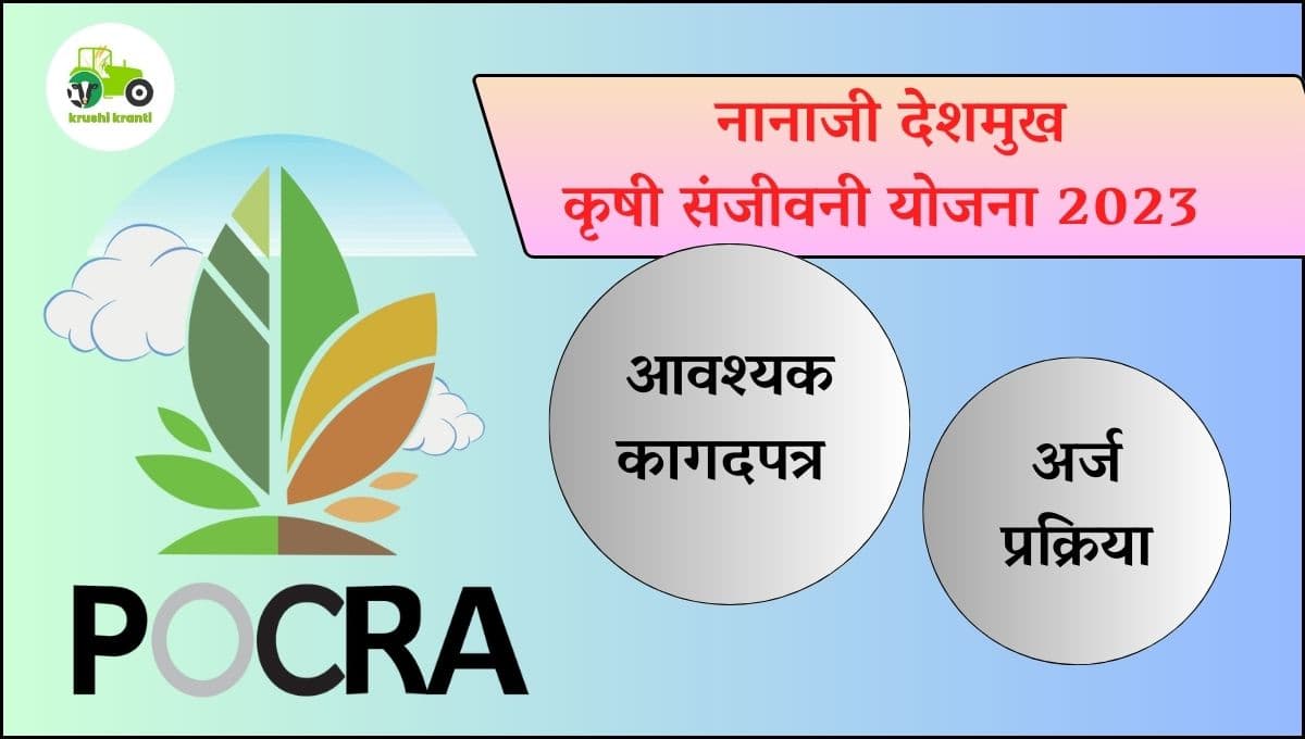 नानाजी देशमुख कृषी संजीवनी योजना 2023 पहा संपूर्ण माहिती