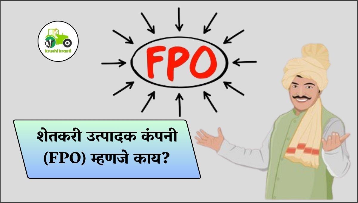 शेतकरी उत्पादक कंपनी (FPO) म्हणजे काय? पहा एफपीओ चे फायदे 