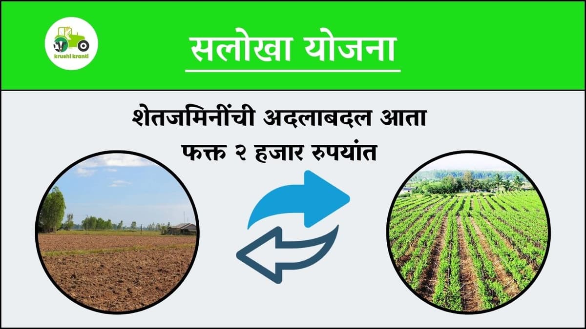 शेतजमिनींची अदलाबदल आता फक्त २ हजार रुपयांत, जाणून घ्या काय आहे सलोखा योजना