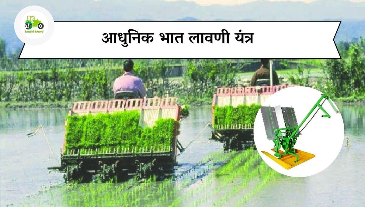 भात लागवडीसाठी वापरा हे यंत्र, लागवड खर्च होईल कमी 