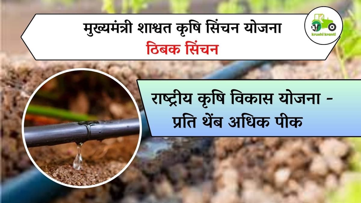 मुख्यमंत्री शाश्वत कृषि सिंचन योजना :- ठिबक सिंचन