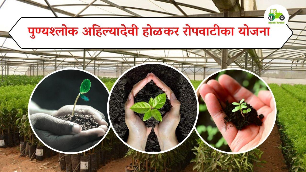 पुण्यश्लोक अहिल्यादेवी होळकर रोपवाटीका योजना 