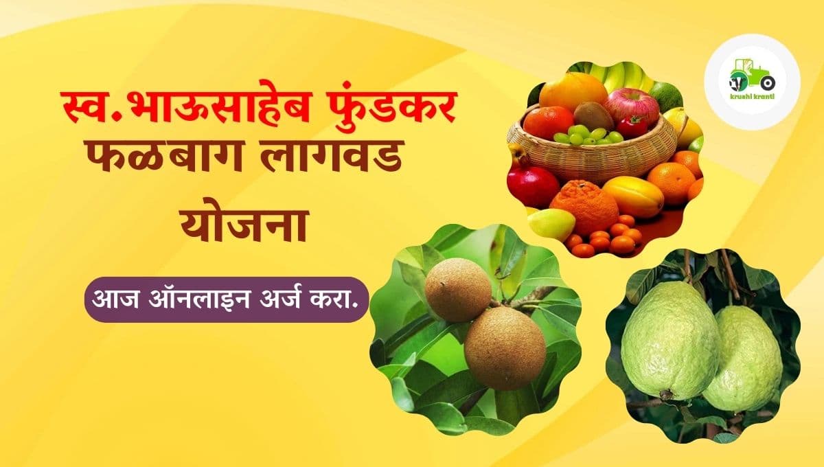 स्व.भाऊसाहेब फुंडकर फळबाग लागवड योजना