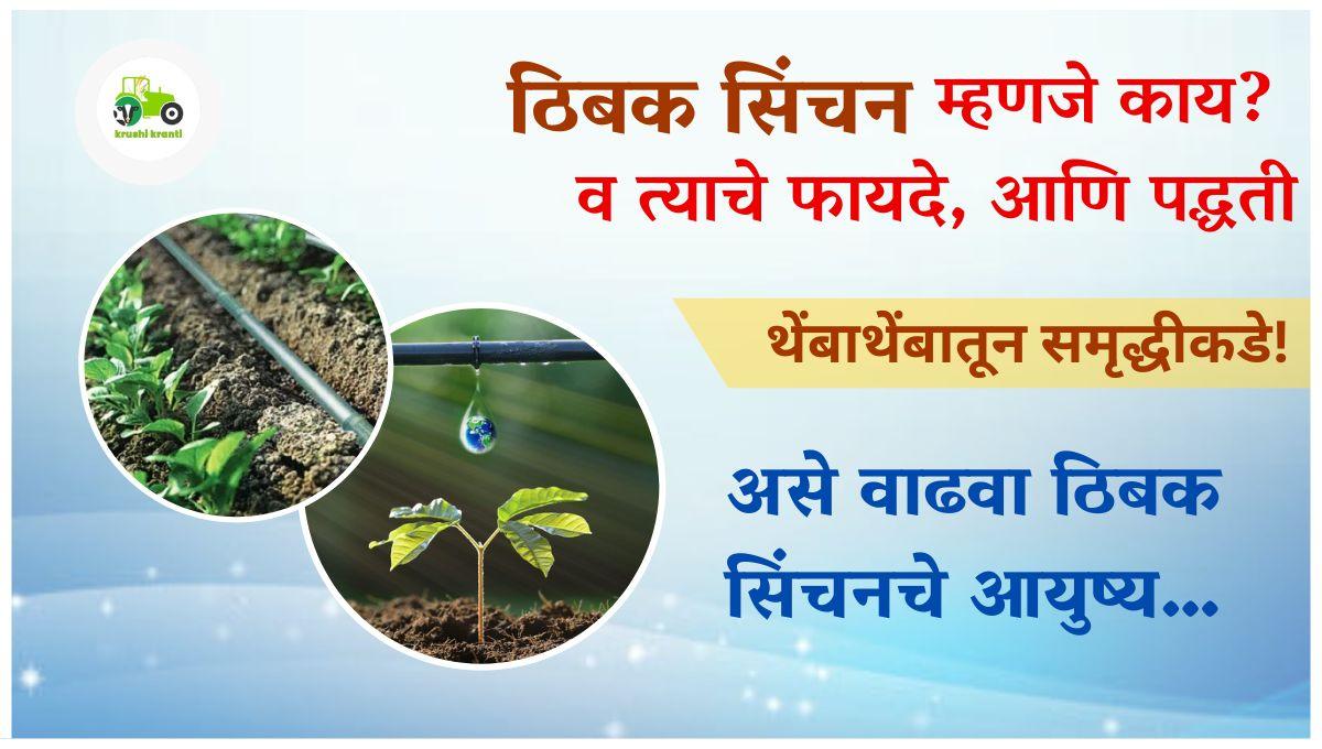 ठिबक सिंचन म्हणजे काय? व त्याचे फायदे, आणि पद्धती 