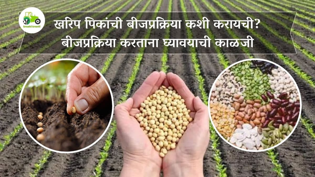 खरिप पिकांची बीजप्रक्रिया कशी करायची? बीजप्रक्रिया करताना घ्यावयाची काळजी