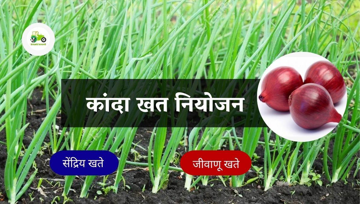 कांदा खत नियोजन
