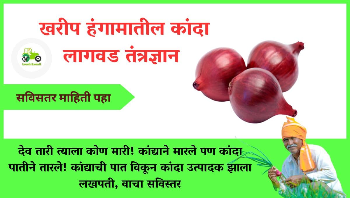  खरीप हंगामातील कांदा लागवड भाग 1 आणि भाग 2 