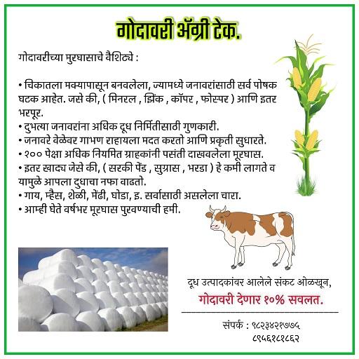 गोदावरी मुरघास आता ऑफर मध्ये