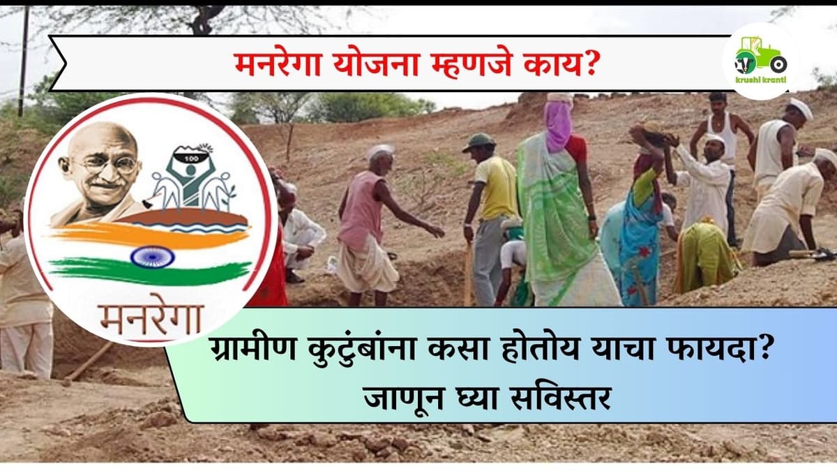 मनरेगा योजना म्हणजे काय? ग्रामीण कुटुंबांना कसा होतोय याचा फायदा? जाणून घ्या सविस्तर