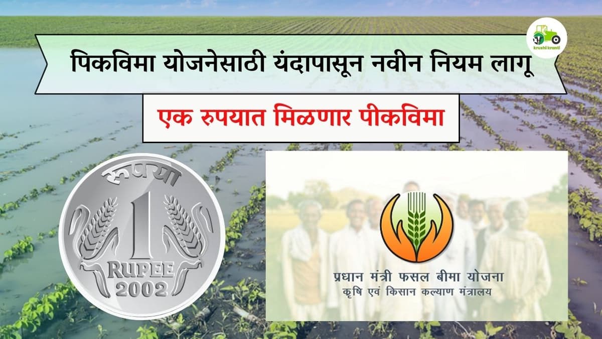 पिकविमा योजनेसाठी यंदापासून नवीन नियम लागू