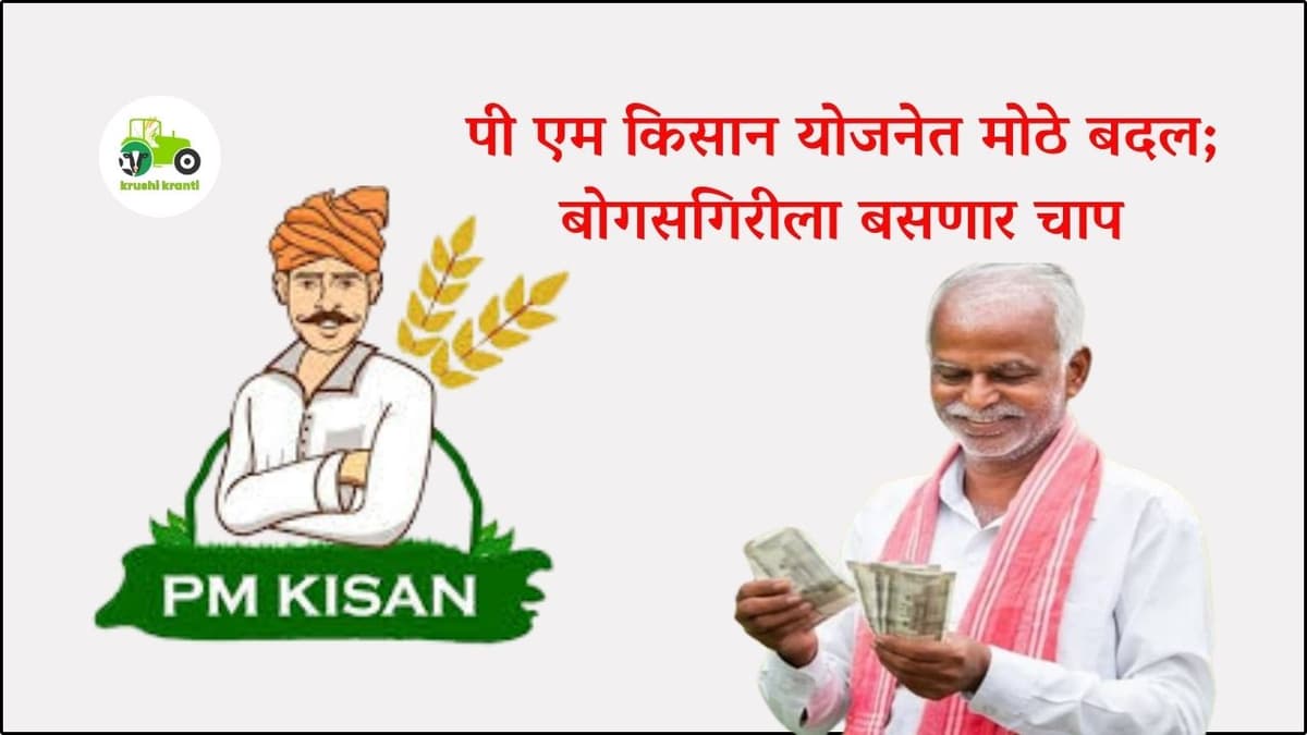 पी एम किसान योजनेत मोठे बदल; बोगसगिरीला बसणार चाप