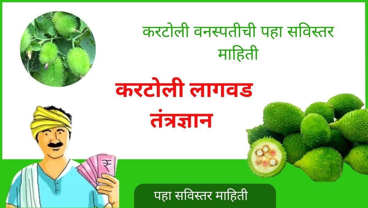 करटोली लागवड तंत्रज्ञान 