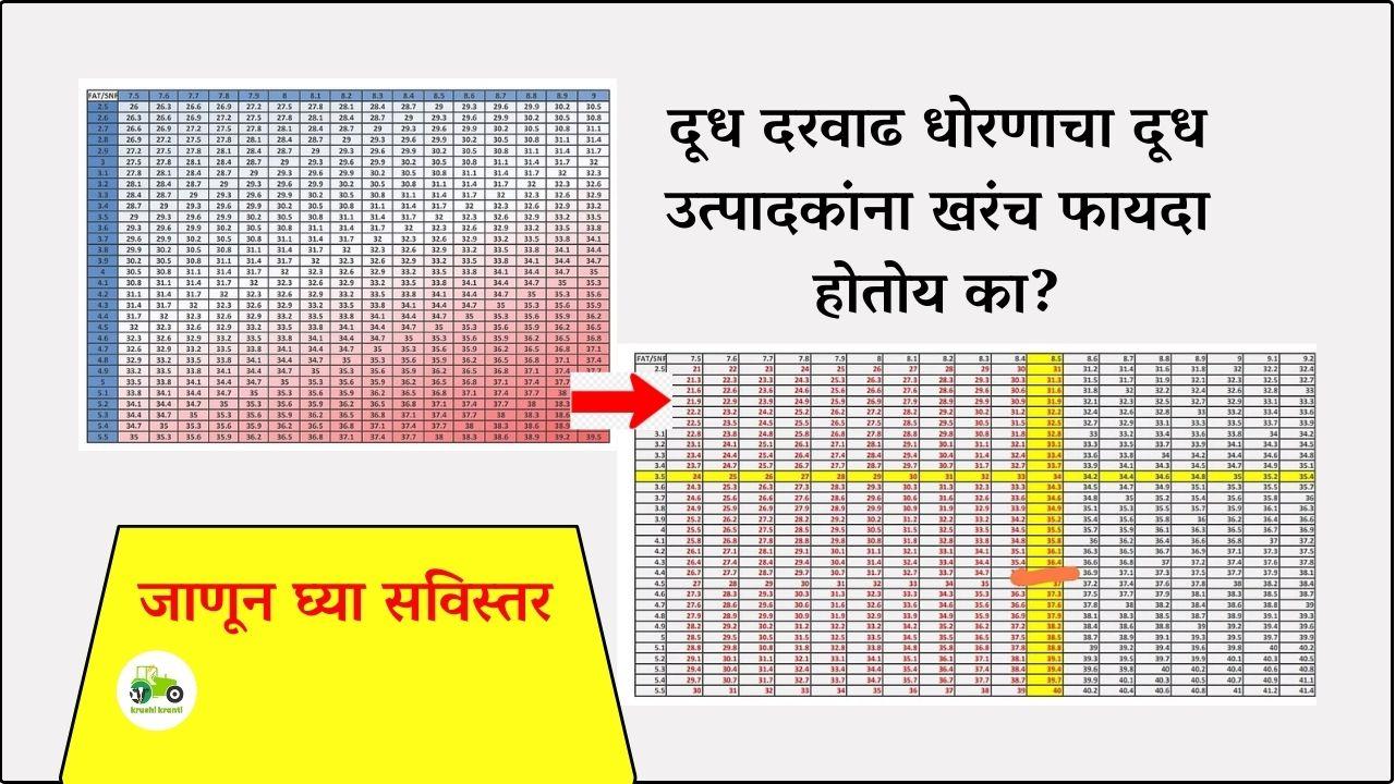 Milk Rate : दूध दरवाढ धोरणाचा दूध उत्पादकांना खरंच फायदा होतोय का?