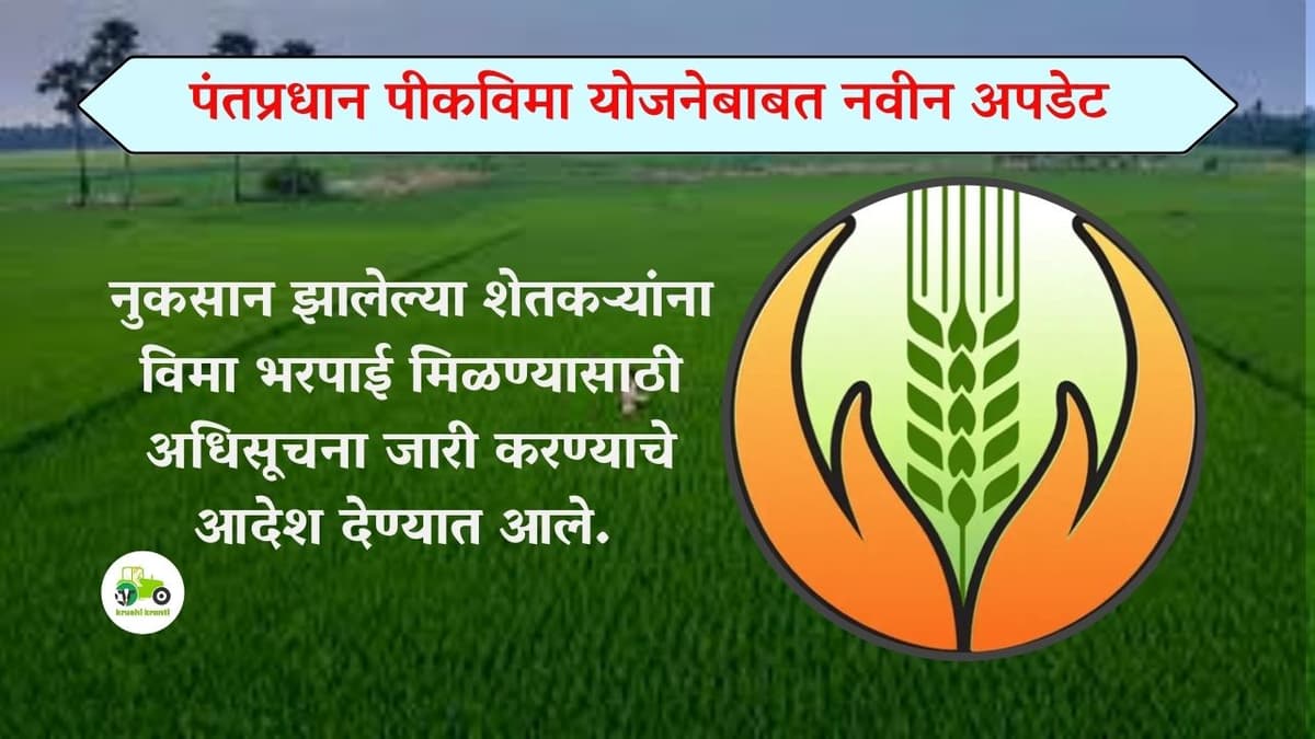 Pik Vima : पंतप्रधान पीकविमा योजनेबाबत नवीन अपडेट!