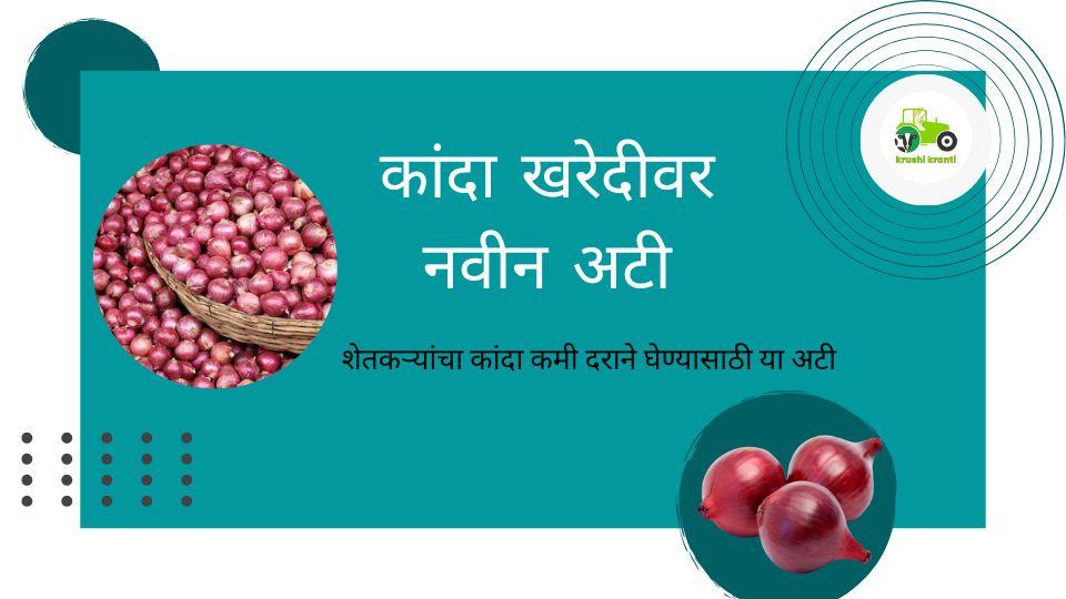 kanda bajarbhav : कांदा खरेदीवर नवीन अटी