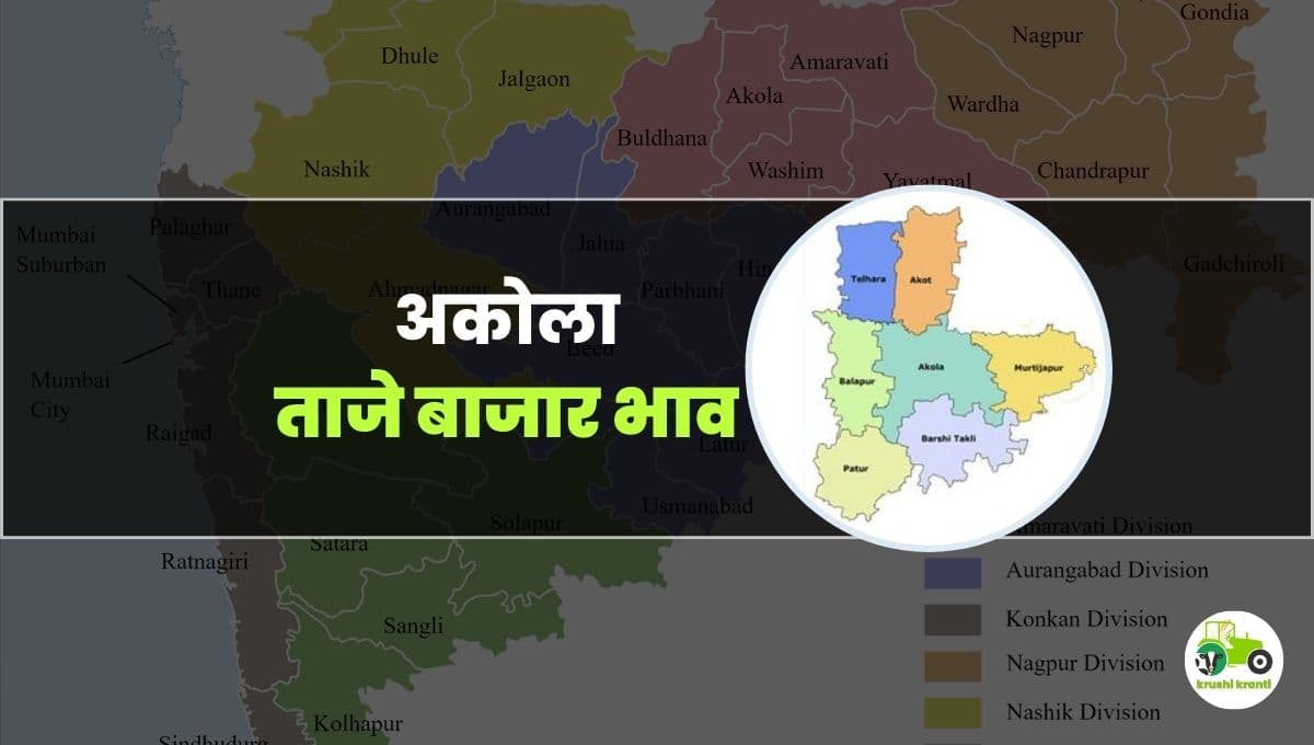 आजचे अकोला बाजारभाव 