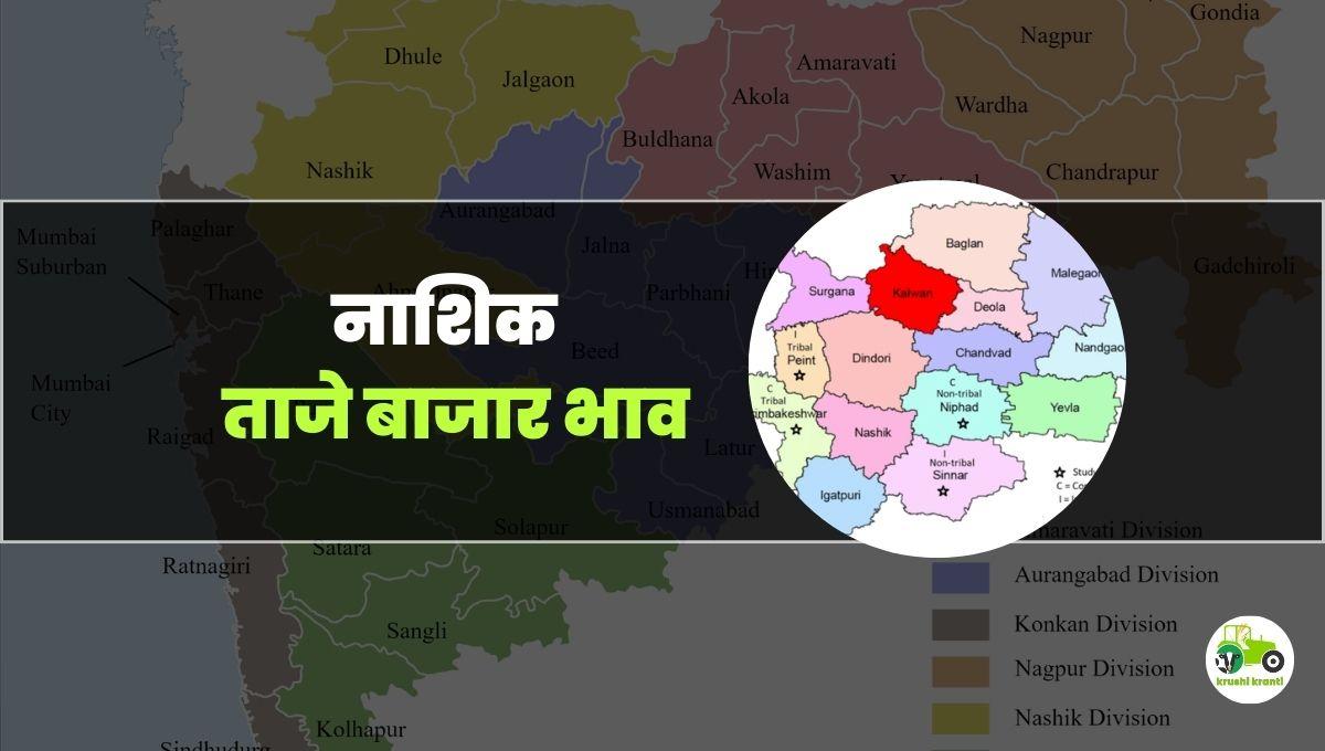 आजचे नाशिक बाजारभाव 