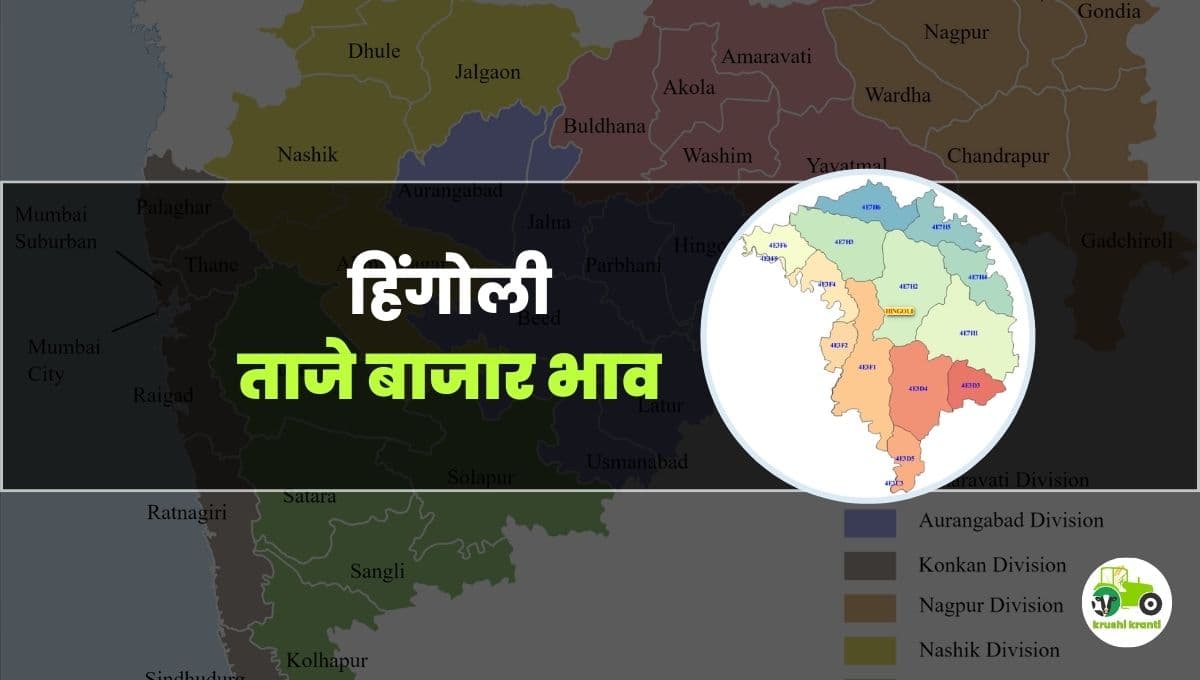आजचे हिंगोली बाजारभाव 