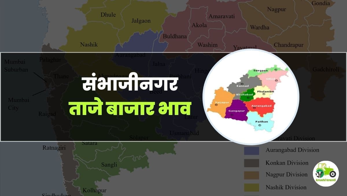 आजचे छत्रपती संभाजीनगर बाजारभाव