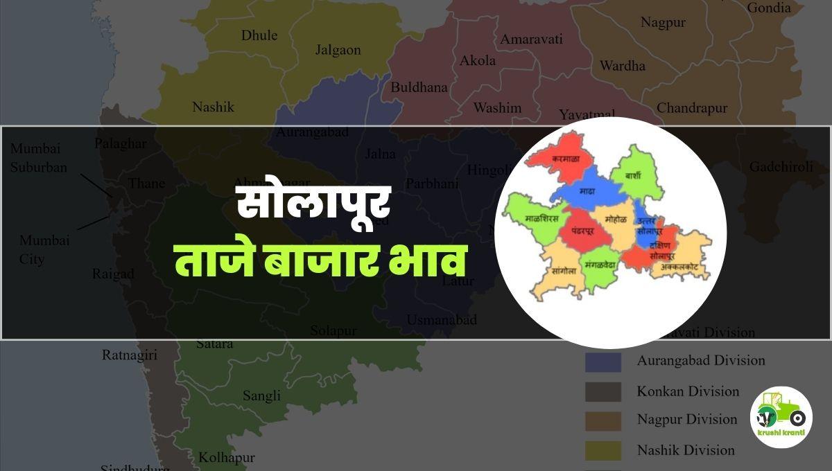 आजचे सोलापूर बाजारभाव 