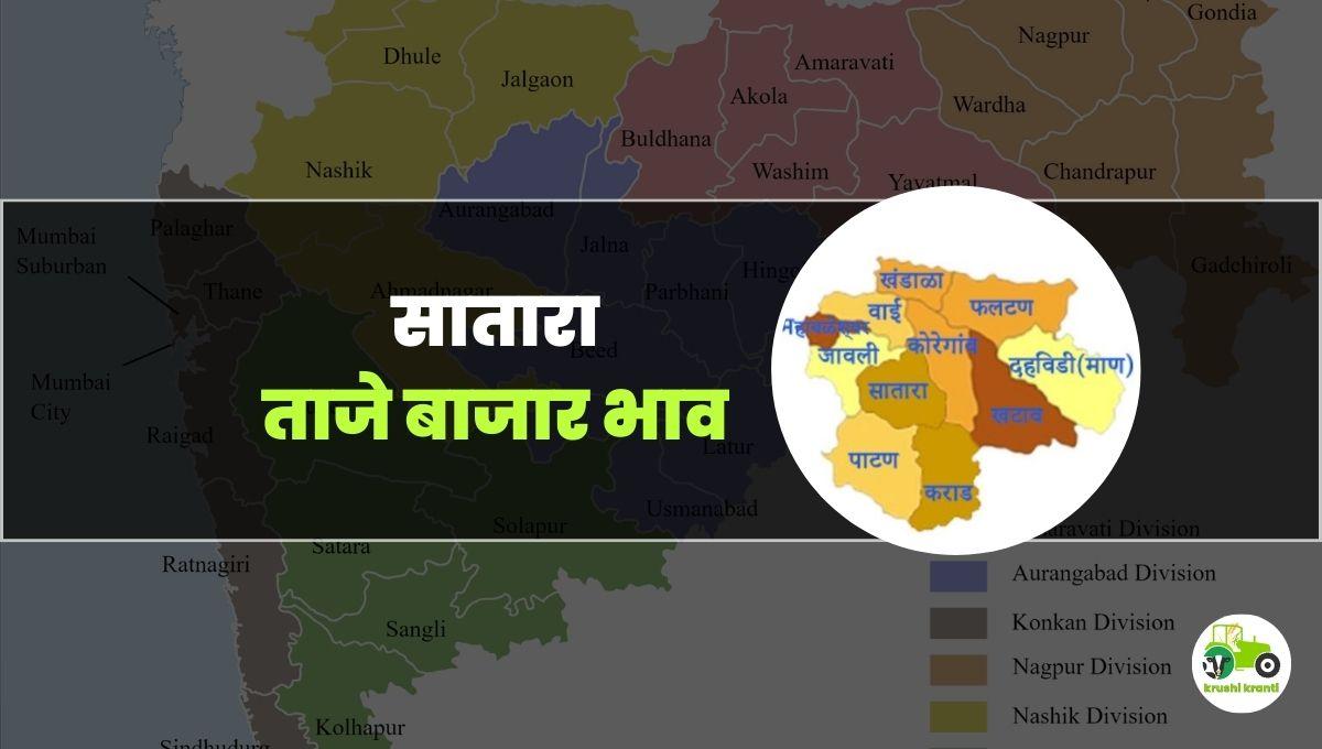 आजचे सातारा बाजारभाव 