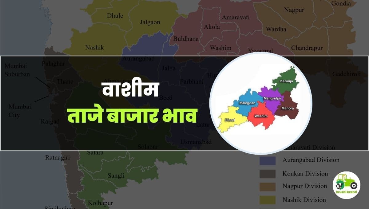 आजचे वाशिम बाजारभाव 